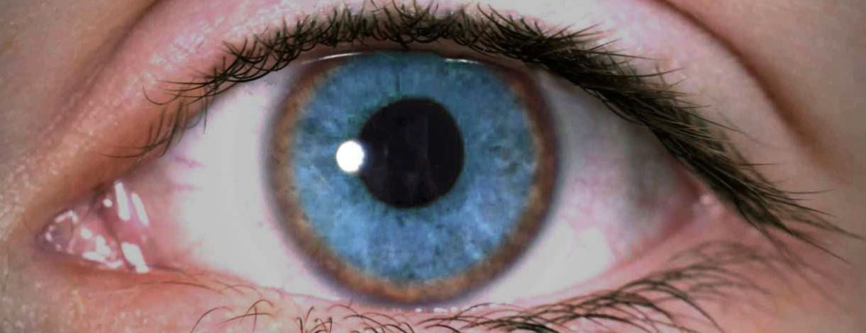 Blue Eyes with White Ring around Pupil | TikTok