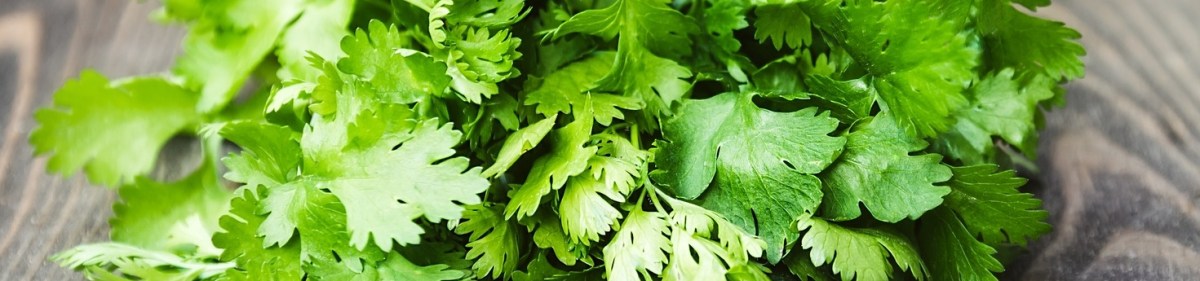 Episode 30: Why do some people taste soap when they eat&nbsp;cilantro?