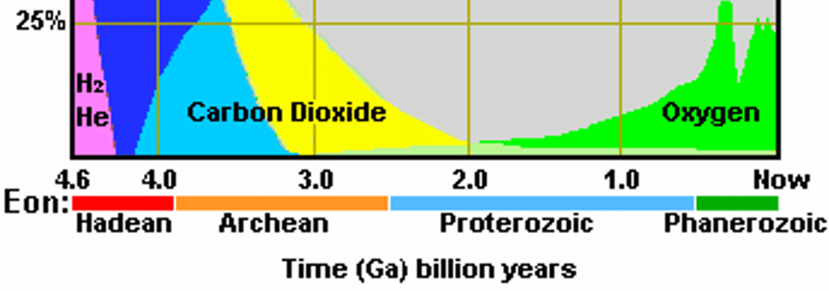 Episode 29: Why is hyperoxia&nbsp;harmful?