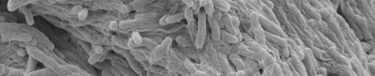 Episode 40 – Infectious Cancer&nbsp;Therapy