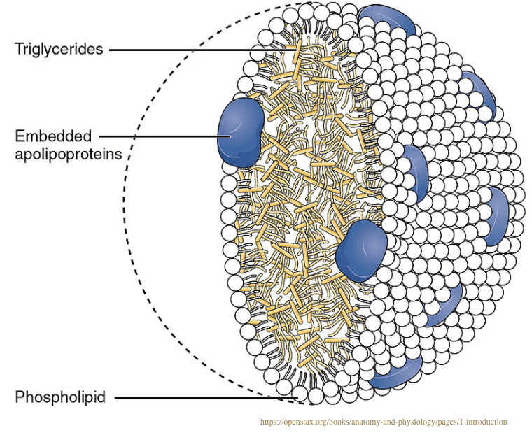 Episode 56 – Trigging&nbsp;Out
