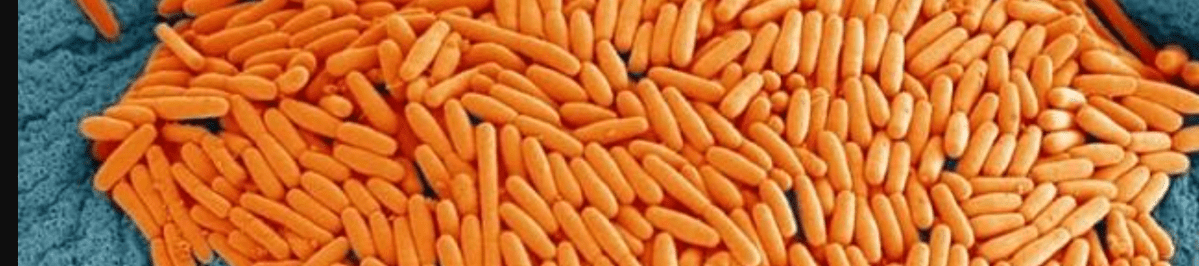 Episode 74 – DIFFerent&nbsp;Babies