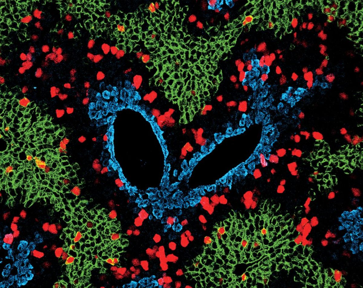 Episode 76 – Radical&nbsp;Regeneration