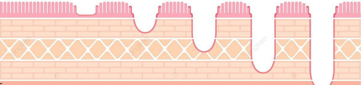 Episode 93- Pumping Protons, Pumping&nbsp;Blood