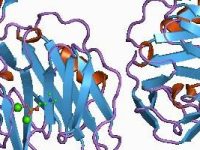 Episode 122 – When CRP goes&nbsp;missing