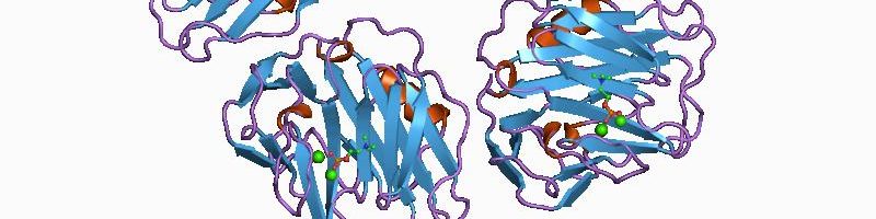 Episode 122 – When CRP goes&nbsp;missing