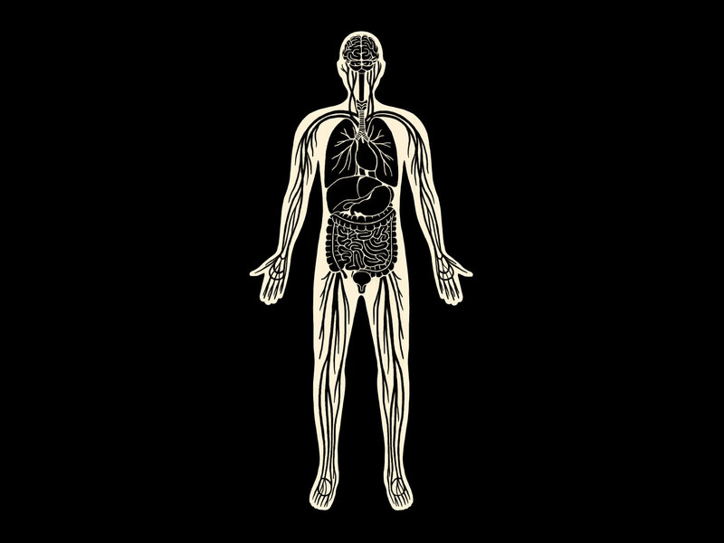 Episode 126 – A Third Circulatory&nbsp;System